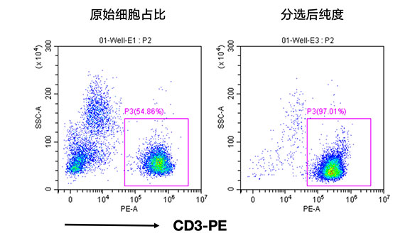 人CD3+细胞分选试剂盒（科研级）