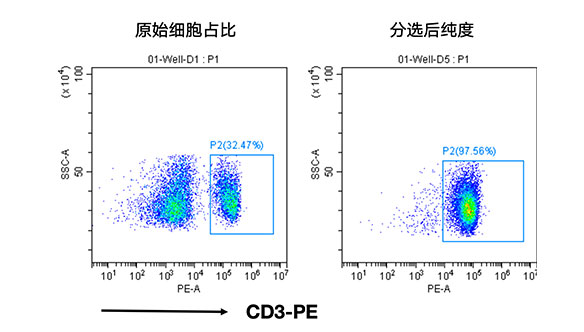 小鼠CD3+细胞分选试剂盒
