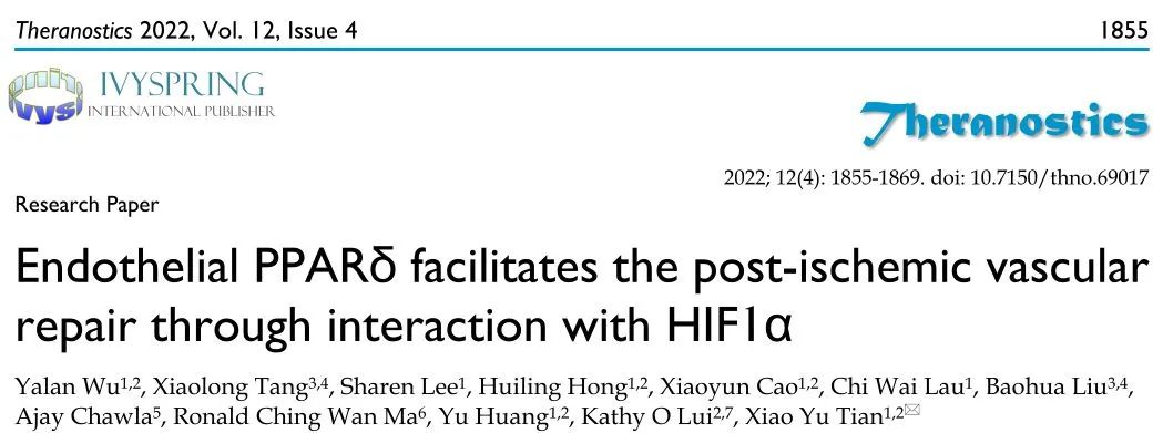 “Endothelial PPARδ facilitates the post-ischemic vascular repair through interaction with HIF1α”.jpg