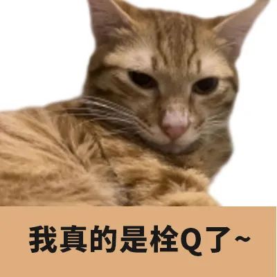 猫头栓Q.jpg