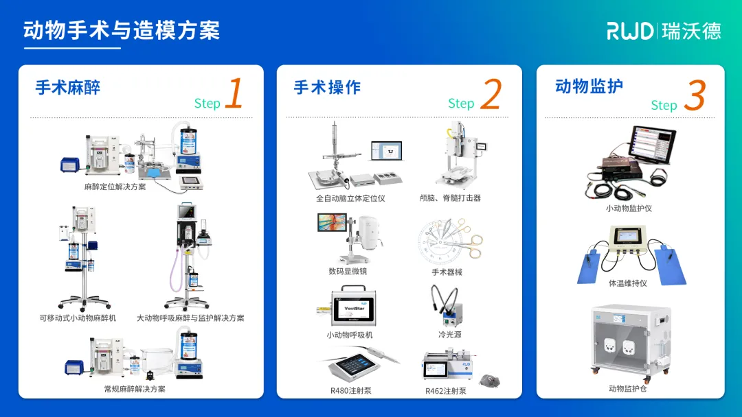 动物手术与造模方案.jpg