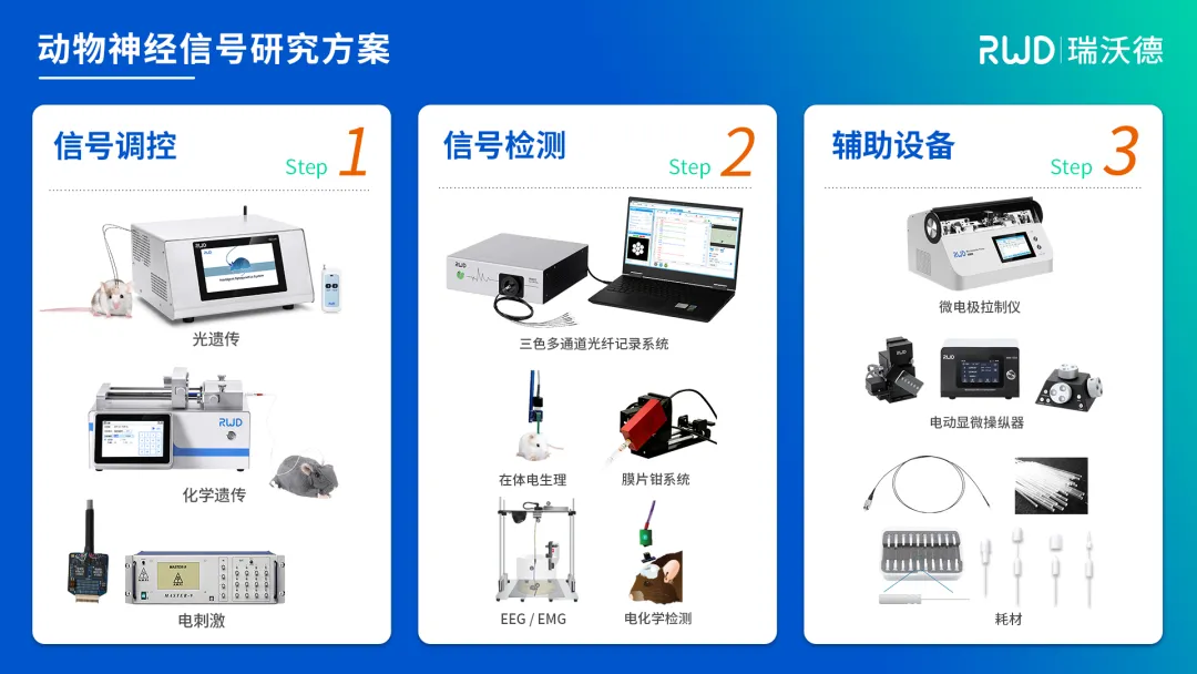 动物神经信号研究方案.jpg