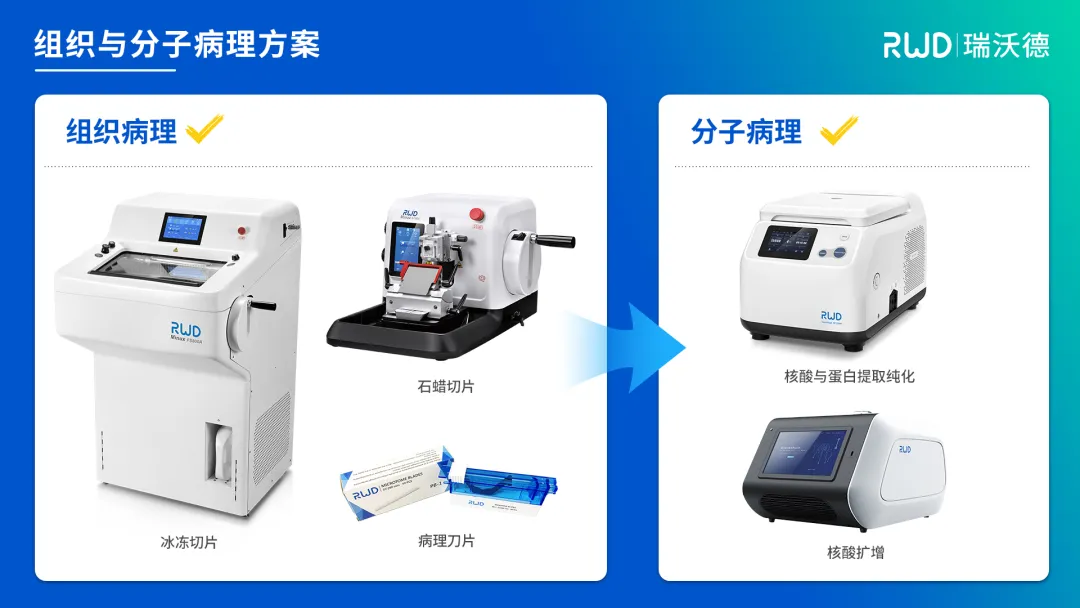 组织与分子病理方案.jpg