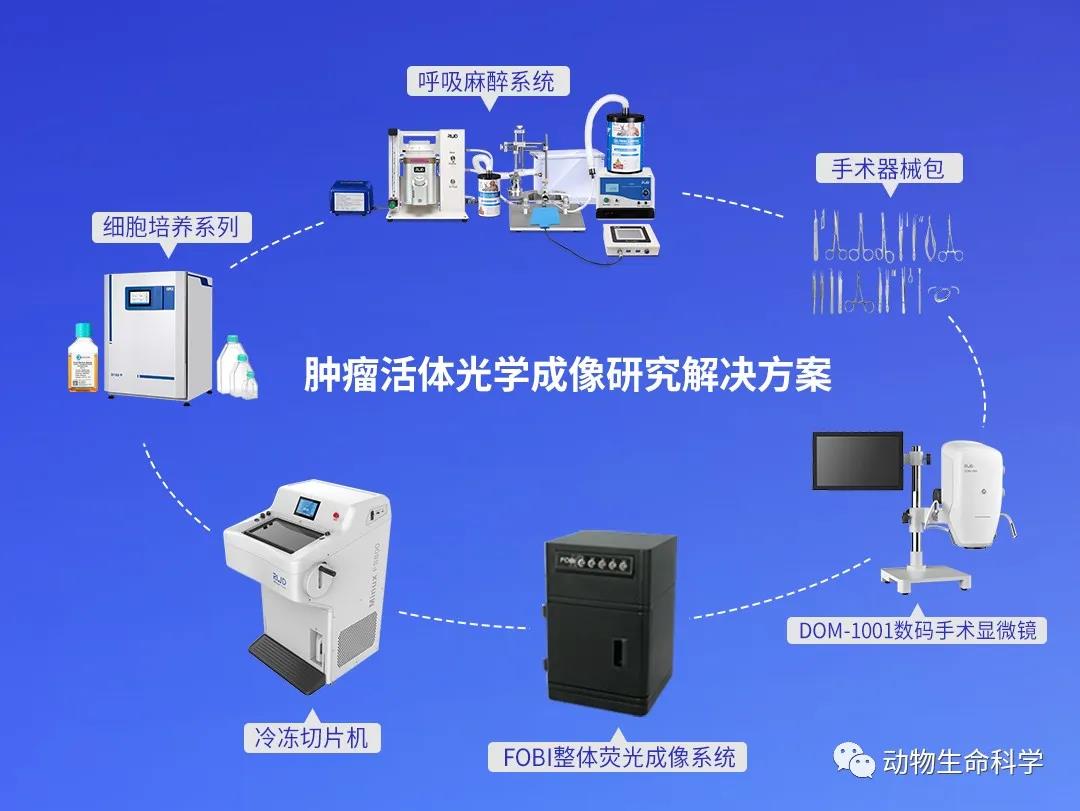 6-肿瘤活体光学成像研究解决方案.jpg