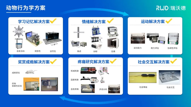 3-动物行为学研究.jpg