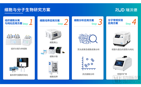 细胞与分子生物研究方案