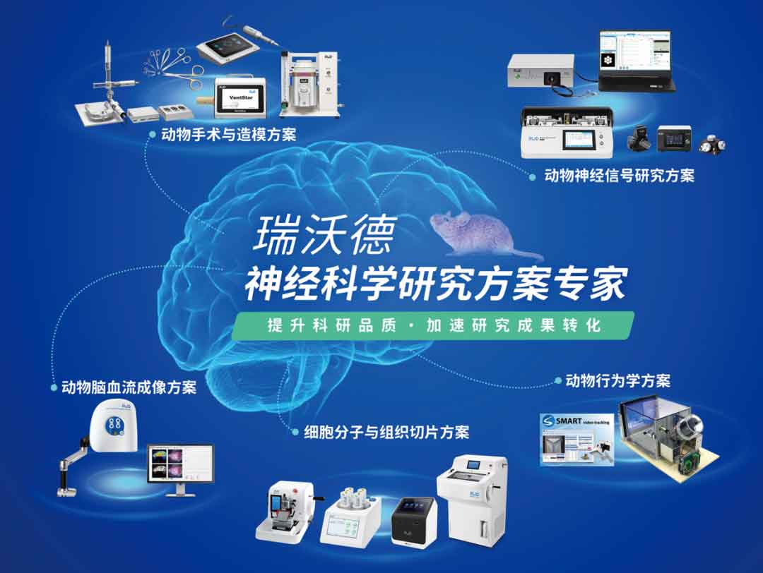 3-神经科学研究方案专家.jpg