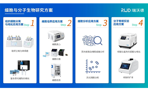 瑞沃德细胞与分子生物研究方案