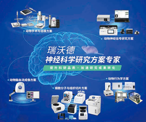 中国神经科学学会第十六届全国学术会议暨第二届中日韩国际会议（以下简称“CNS大会”）将于2023年7月27日-30日在珠海国际会展中心召开。作为我国神经科学领域规模盛大、学术水平高超的学术会议，CNS大会专注于脑科学前沿技术探讨与应用，每年都吸引众多国内外神经科学专家与学者参会，研讨交流近年来神经科学的最新发展及科研成果。 瑞沃德展位（T18特装展位） 作为一家深耕生命科学领域的公司，瑞沃德在神经科学研究领域也不断创新，臻于至善，为科研工作者提供全方位的技术和服务支持，已连续多年参与CNS大会。今年，瑞沃德也将携神经科学研究明星产品及解决方案亮相本次会议。在此，我们诚挚地邀请您莅临瑞沃德T18特装展位参观交流！ 中国神经科学学会第十六届全国学术会议 暨第二届中日韩国际会议 2023 年 7 月 27 日－30 日 （27日为展商报到日） 珠海国际会展中心 T18特装展位 一站式“神经科学研究解决方案” 瑞沃德“神经科学研究解决方案”，融合动物手术与造模方案、动物神经信号研究方案、动物脑血流成像方案、细胞分子与组织切片方案、动物行为学方案，以专业、完整的场景化解决方案，满足神经科学领域不同科研工作者的专业化实验需求，提升科研品质，加速研究成果转化。 神经科学研究解决方案 神经科学领域明星产品重磅亮相 作为神经科学领域的使能者，瑞沃德坚持突破创新，不断为自研产品注入新动能。我们将在CNS大会上展示三色多通道光纤记录系统、RFLSI ZW激光散斑血流成像系统等多款主流明星产品，欢迎各位莅临瑞沃德展位（T18特装展位）了解。 明星产品 更多产品 新品发布，共邀体验 在本次大会上，瑞沃德也将带来神经科学研究的三款新品——TAIJI小动物麻醉机、全自动脑立体定位仪和嗅觉行为训练系统，现场将会有专业人员进行新品发布演讲，诚邀各位同行一起交流讨论。 全自动脑立体定位仪&TAIJI小动物麻醉机 演讲时间：7月29日09:30 瑞沃德全自动脑立体定位仪，是一款自动化、智能化的脑立体定位仪。电机精准控制步进，可自动化运行，减少人为操作带来的误差，解放双手，节省人工成本；内置大小鼠脑图谱和常用实验任务模块，更加方便和直观地进行脑立体定位。 作为一体化设计的麻醉机，瑞沃德TAIJI麻醉机给用户带来了“开箱即通”的便捷体验，在保留核心的麻醉功能的同时，支持诱导与维持双通道独立控制，极大提高了实验效率。低应激诱导盒采用红色外观，可显著降低啮齿类动物的应激反应，更符合动物福利，在结构上采用半开放式，实现在诱导麻醉时进行主动回收，是科研实验室通用的一款高性价比麻醉机。 嗅觉行为训练系统 演讲时间：7月29日14:45 RWD嗅觉行为训练系统支持多只动物同时进行多种气味训练，可拓展与光遗传、电生理等第三方设备联用。系配有专门软件操控系统运行，精确控制气味释放，精准记录行为参数，内置DNMS，DPA，Go/No-Go实验范式，并支持自主编辑，对于开展神经系统疾病、认知学习记忆以及嗅觉环路相关机制等研究有很大帮助。 专家团坐阵，精彩好礼享不停 除了瑞沃德神经科学研究产品的体验，现场也提供技术咨询服务。瑞沃德解决方案专家团将在现场全天候为您解答对应研究领域的产品应用难题，并提供定制化的解决方案。 同时，展位设置了瑞沃德产品以旧换新的专属福利，更有耗材产品限时促销、幸运抽奖等活动，定制音响、商务背包、电风扇等礼品等你来！（活动详询现场工作人员） 展台现场活动（部分） 2023CNS大会 瑞沃德T18特装展位 我们恭候您的到来