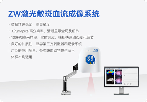 中国神经科学学会第十六届全国学术会议暨第二届中日韩国际会议（以下简称“CNS大会”）将于2023年7月27日-30日在珠海国际会展中心召开。作为我国神经科学领域规模盛大、学术水平高超的学术会议，CNS大会专注于脑科学前沿技术探讨与应用，每年都吸引众多国内外神经科学专家与学者参会，研讨交流近年来神经科学的最新发展及科研成果。 瑞沃德展位（T18特装展位） 作为一家深耕生命科学领域的公司，瑞沃德在神经科学研究领域也不断创新，臻于至善，为科研工作者提供全方位的技术和服务支持，已连续多年参与CNS大会。今年，瑞沃德也将携神经科学研究明星产品及解决方案亮相本次会议。在此，我们诚挚地邀请您莅临瑞沃德T18特装展位参观交流！ 中国神经科学学会第十六届全国学术会议 暨第二届中日韩国际会议 2023 年 7 月 27 日－30 日 （27日为展商报到日） 珠海国际会展中心 T18特装展位 一站式“神经科学研究解决方案” 瑞沃德“神经科学研究解决方案”，融合动物手术与造模方案、动物神经信号研究方案、动物脑血流成像方案、细胞分子与组织切片方案、动物行为学方案，以专业、完整的场景化解决方案，满足神经科学领域不同科研工作者的专业化实验需求，提升科研品质，加速研究成果转化。 神经科学研究解决方案 神经科学领域明星产品重磅亮相 作为神经科学领域的使能者，瑞沃德坚持突破创新，不断为自研产品注入新动能。我们将在CNS大会上展示三色多通道光纤记录系统、RFLSI ZW激光散斑血流成像系统等多款主流明星产品，欢迎各位莅临瑞沃德展位（T18特装展位）了解。 明星产品 更多产品 新品发布，共邀体验 在本次大会上，瑞沃德也将带来神经科学研究的三款新品——TAIJI小动物麻醉机、全自动脑立体定位仪和嗅觉行为训练系统，现场将会有专业人员进行新品发布演讲，诚邀各位同行一起交流讨论。 全自动脑立体定位仪&TAIJI小动物麻醉机 演讲时间：7月29日09:30 瑞沃德全自动脑立体定位仪，是一款自动化、智能化的脑立体定位仪。电机精准控制步进，可自动化运行，减少人为操作带来的误差，解放双手，节省人工成本；内置大小鼠脑图谱和常用实验任务模块，更加方便和直观地进行脑立体定位。 作为一体化设计的麻醉机，瑞沃德TAIJI麻醉机给用户带来了“开箱即通”的便捷体验，在保留核心的麻醉功能的同时，支持诱导与维持双通道独立控制，极大提高了实验效率。低应激诱导盒采用红色外观，可显著降低啮齿类动物的应激反应，更符合动物福利，在结构上采用半开放式，实现在诱导麻醉时进行主动回收，是科研实验室通用的一款高性价比麻醉机。 嗅觉行为训练系统 演讲时间：7月29日14:45 RWD嗅觉行为训练系统支持多只动物同时进行多种气味训练，可拓展与光遗传、电生理等第三方设备联用。系配有专门软件操控系统运行，精确控制气味释放，精准记录行为参数，内置DNMS，DPA，Go/No-Go实验范式，并支持自主编辑，对于开展神经系统疾病、认知学习记忆以及嗅觉环路相关机制等研究有很大帮助。 专家团坐阵，精彩好礼享不停 除了瑞沃德神经科学研究产品的体验，现场也提供技术咨询服务。瑞沃德解决方案专家团将在现场全天候为您解答对应研究领域的产品应用难题，并提供定制化的解决方案。 同时，展位设置了瑞沃德产品以旧换新的专属福利，更有耗材产品限时促销、幸运抽奖等活动，定制音响、商务背包、电风扇等礼品等你来！（活动详询现场工作人员） 展台现场活动（部分） 2023CNS大会 瑞沃德T18特装展位 我们恭候您的到来