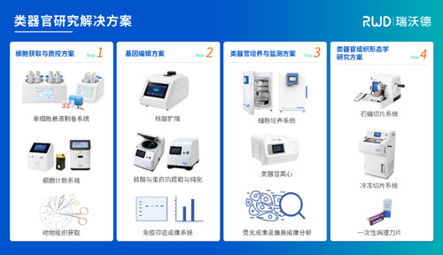 瑞沃德邀您共赴2024第四届类器官大会—类器官与新药研发会议暨 ISoOR 2024 国际类器官高峰论坛