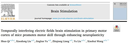 上海体育大学王晓慧团队揭示TI刺激促进小鼠运动技能提升及其机制