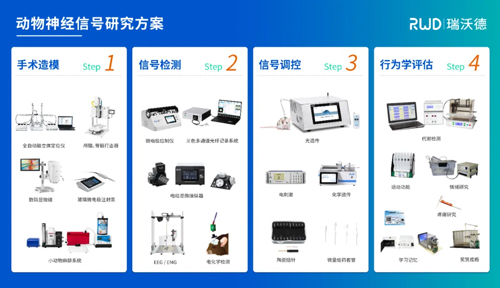 上海体育大学王晓慧团队揭示TI刺激促进小鼠运动技能提升及其机制