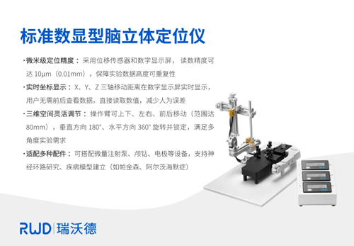 瑞沃德
