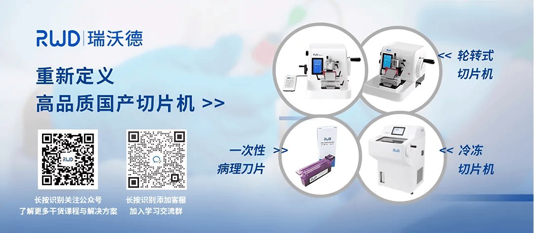 FS900冷冻切片机