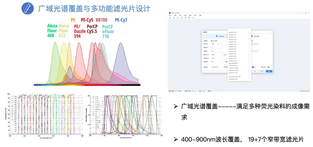 小动物活体成像