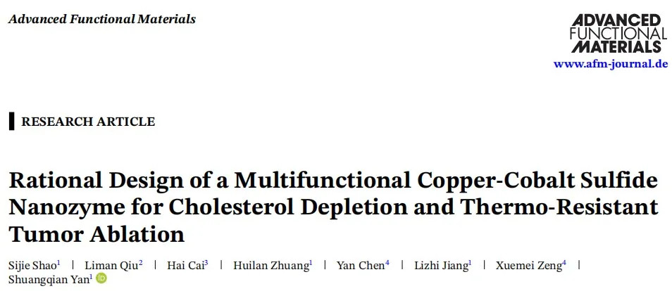Advanced Functional Materials.jpg