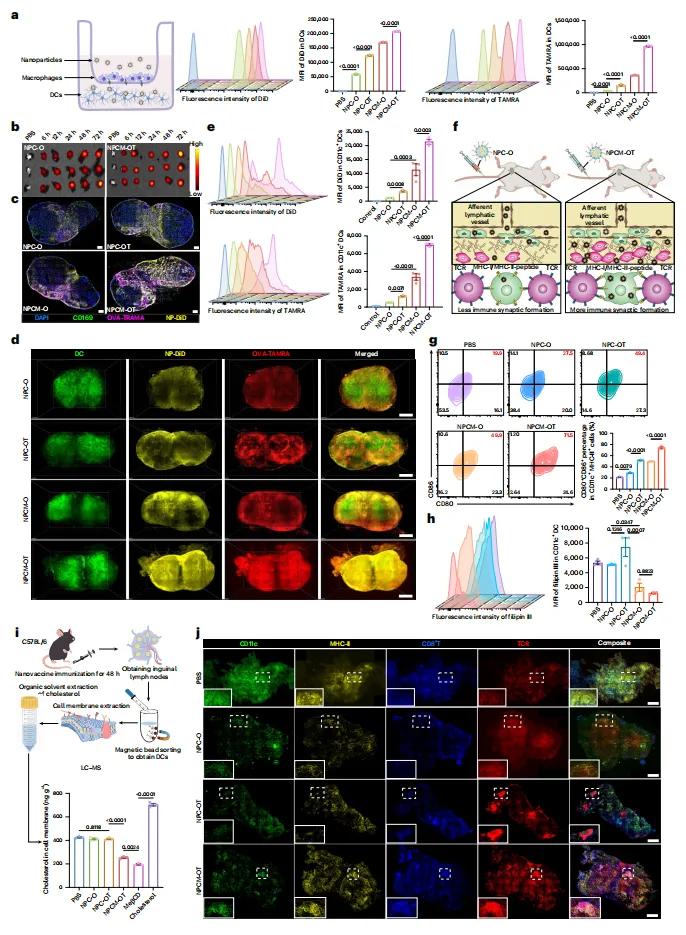 ability-to-induce-immune-synapse-formation.jpg