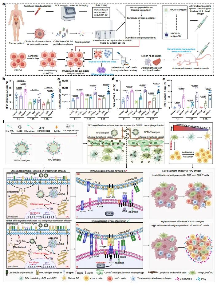 predicted-antigen-peptide-nanovaccine.jpg