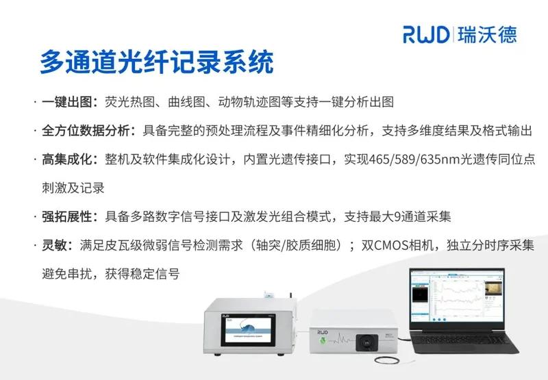 rwd-multi-channel-fiber-optic-recording-system.jpg
