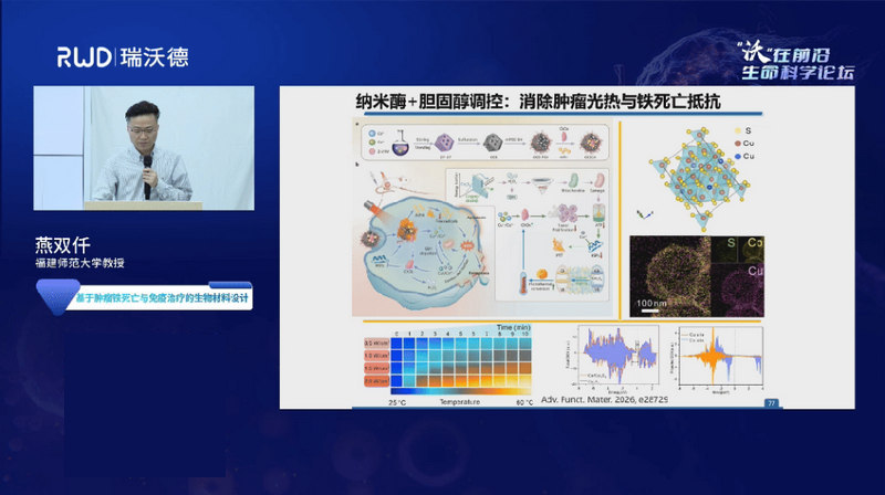 yan-shuangqian-ferroptosis-immunotherapy-nanomaterials-cd8-tcells.jpg