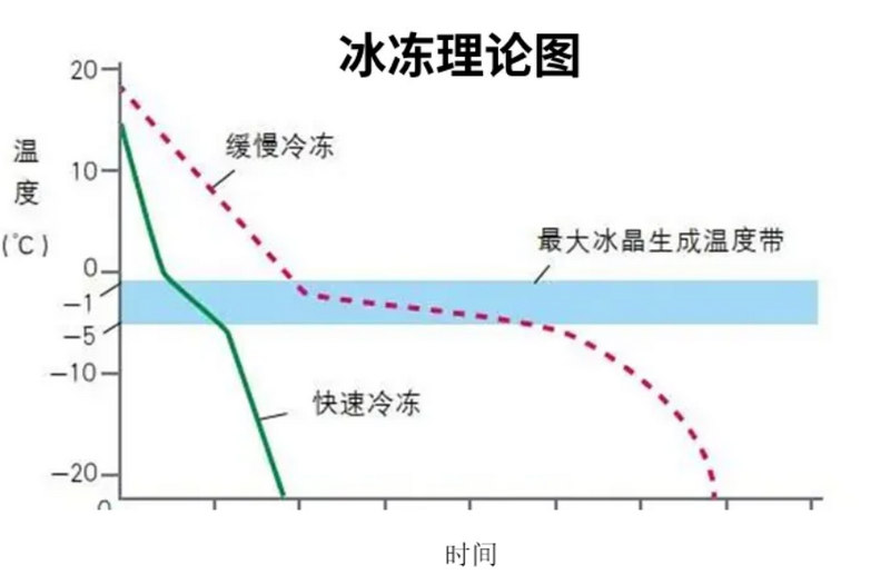 组织冰冻理论图.jpg