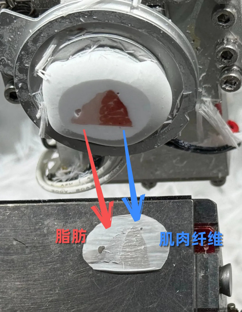 以“五花肉”为例演示脂肪组织切片图.jpg