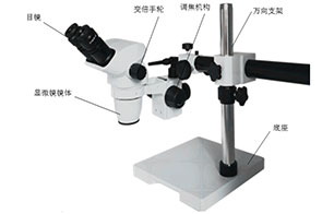 77001S双目体视显微镜