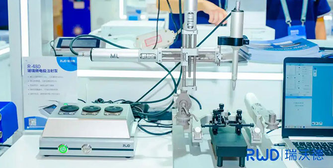 国产仪器积极助力，深大教授连发3篇高分SCI论文