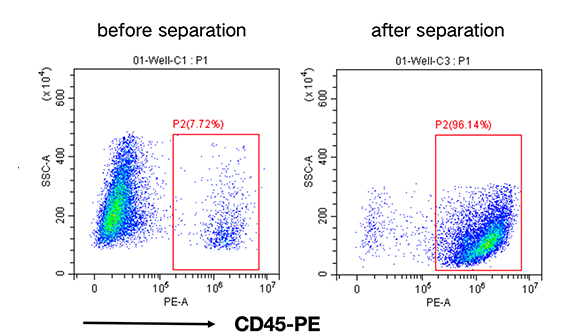 小鼠CD45+细胞分选试剂盒