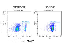 小鼠CD4+细胞分选试剂盒