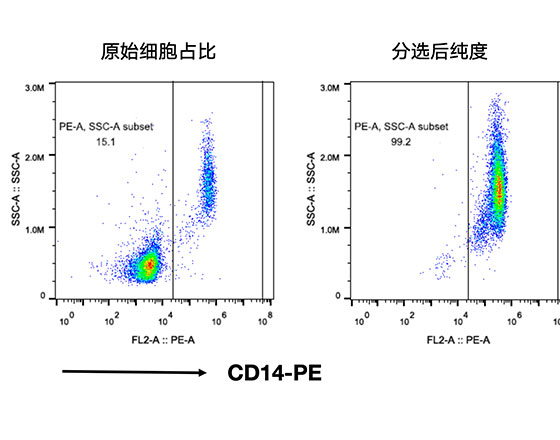 人CD14+细胞分选试剂盒（科研级）