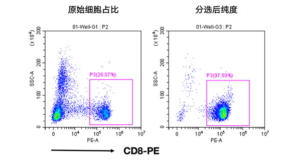 人CD8+细胞分选试剂盒（科研级）