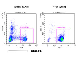 人CD8+细胞分选试剂盒（科研级）