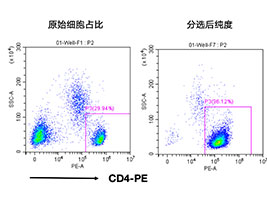 人CD4+细胞分选试剂盒（科研级）