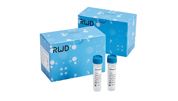 人CD19+细胞分选试剂盒（科研级）