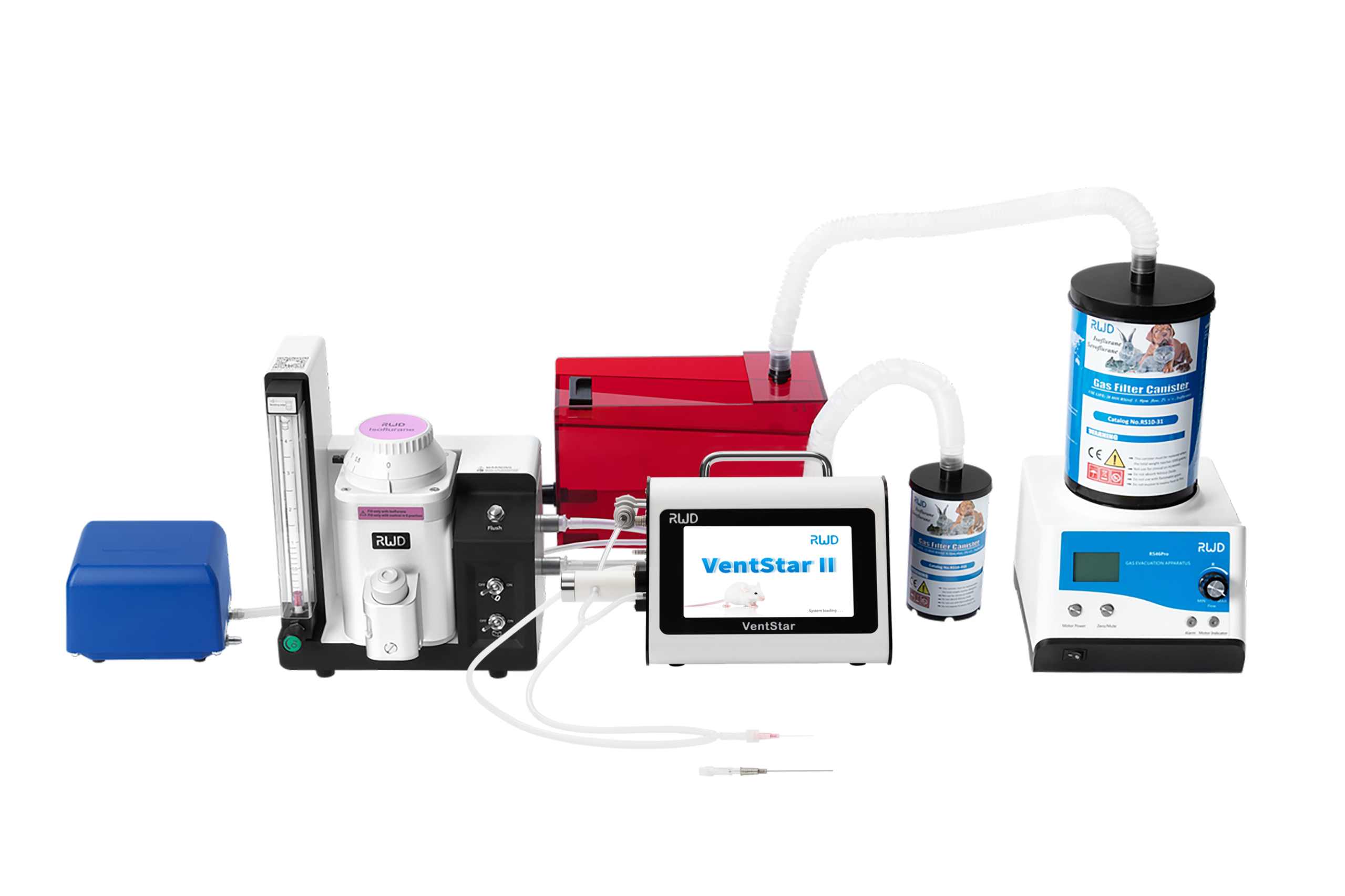 动物呼吸麻醉系统