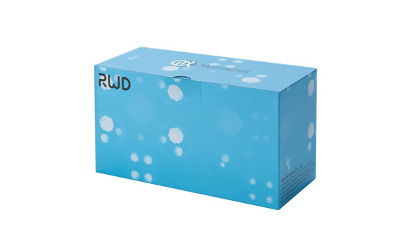 小鼠CD4+CD25+调节性T细胞分选试剂盒