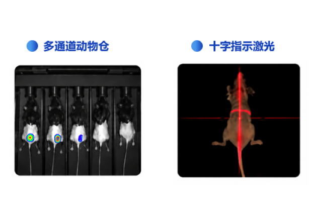 快速高通量采集